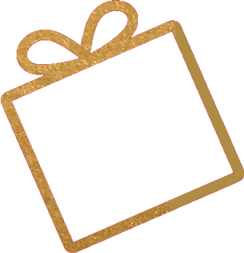 Geschenk Icon